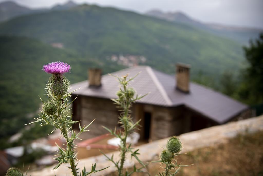 Radika View House Apartamento Galicnik Exterior foto